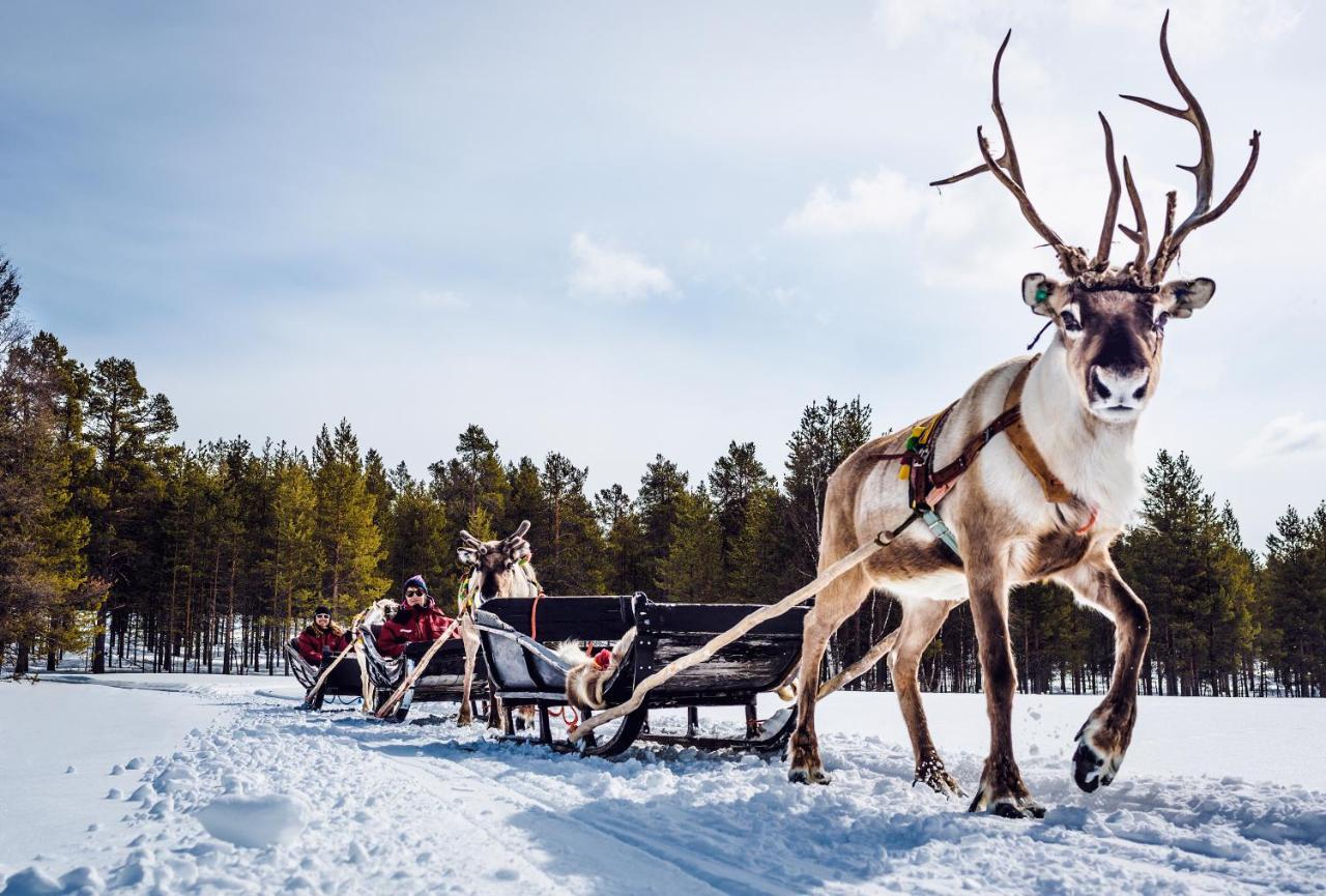 Harriniva Adventure Resort Муонио Экстерьер фото
