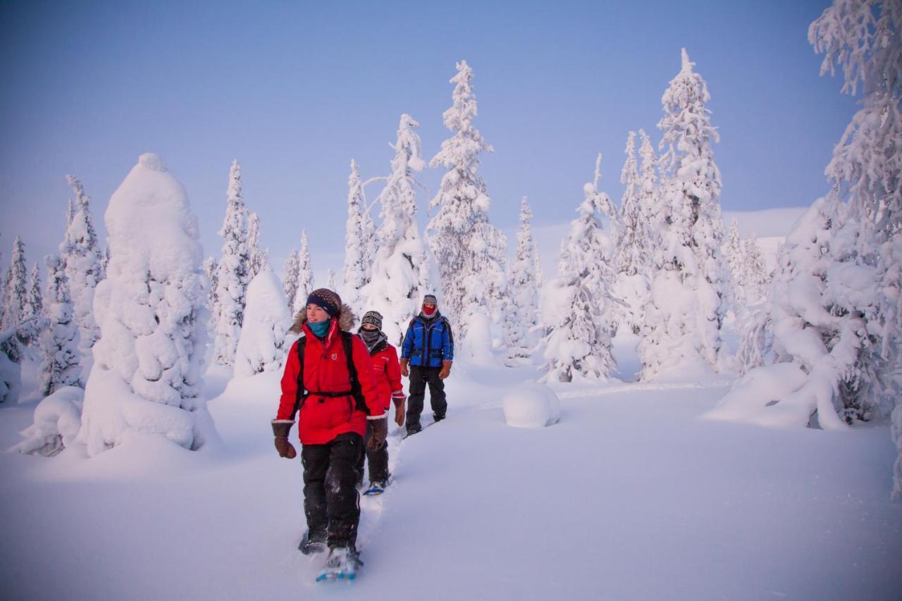 Harriniva Adventure Resort Муонио Экстерьер фото